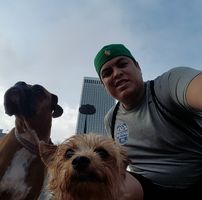 Miguel David's profile image