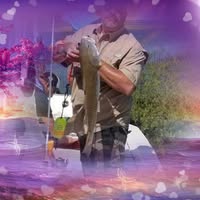 Adam Ryan's profile image