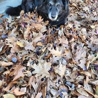 Ruth Swartz-Bolton's profile image