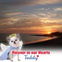 Talie Johnson's profile image