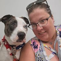 Rachael Porter's profile image