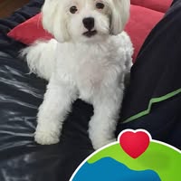 Neil Harris's profile image