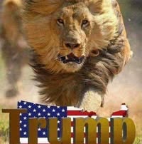 Staci Handelman's profile image