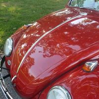 Pamela Moffitt Miller's profile image