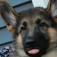 Paul Riccardi's profile image
