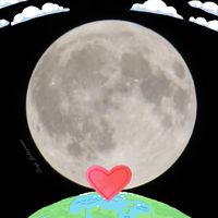 Sonja Johannesen's profile image