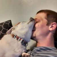 Richard Trostel's profile image