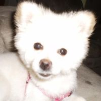 Penny Forsberg's profile image
