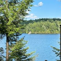 Tania Kohl's profile image