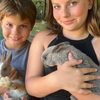Kate Frawley Brody's profile image