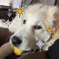 Karen Updike-Bonar's profile image