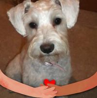 Tamera Weber's profile image