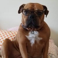 Danny Long's profile image