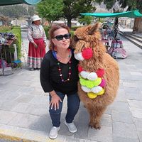 Marichuy Zamora's profile image