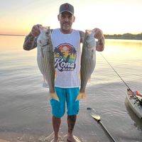 Jason Nelson's profile image