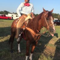 Fabricio Ramos's profile image