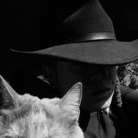 Kyt Koyote's profile image