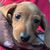 Noreen Harkins R.'s profile image