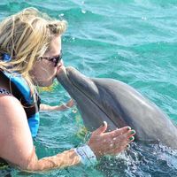Jilly Bean's profile image