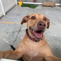 Sandra Wyhoon's profile image