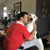 Nodal RA's profile image