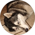 Odin L.