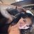 Elise Nylund's profile image