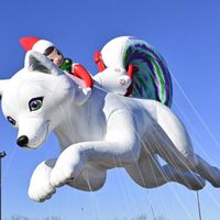 Patti Scovic Susko's profile image