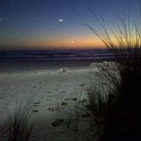 Lynn Johnson's profile image