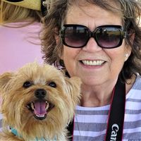 Melanie Urquhart McCollum Burke's profile image