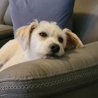 John Oddo's profile image