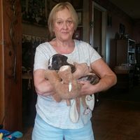 Phyllis Ann Reardon Huber's profile image