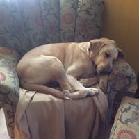 Lucy Griffin's profile image