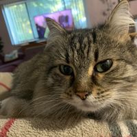 Christina Michael's profile image