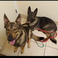 Melissa Kasicki's profile image