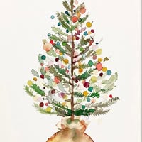 Amy Crews's profile image