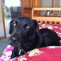 Belkis Mata Andersen's profile image