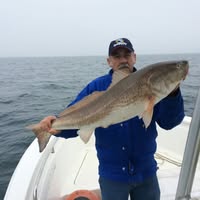 David Quesenberry's profile image