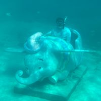 Kyle Dencker's profile image