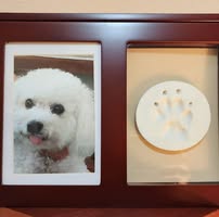 Sheryl C. Clark's profile image