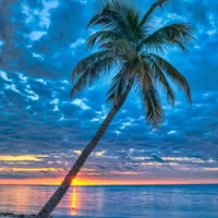 Michal Wright's profile image