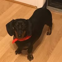 Donna Lusk's profile image