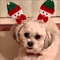 Sharilyn Weinhart's profile image