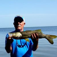 John Wanczowski's profile image