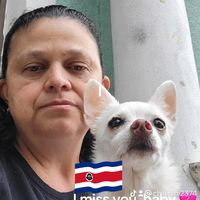 Shirley Borbon's profile image