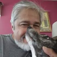 Rick Roberts's profile image