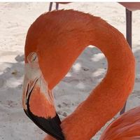 Miriam T Marquez De La Plata's profile image