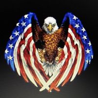 Dan Boswell's profile image