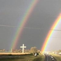 Sharon Matarazzo's profile image