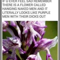 Micki Barner's profile image